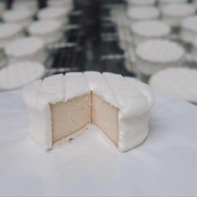 Veganer Rohkostkäse, New Roots Veganer Rohkostkäse, New Roots