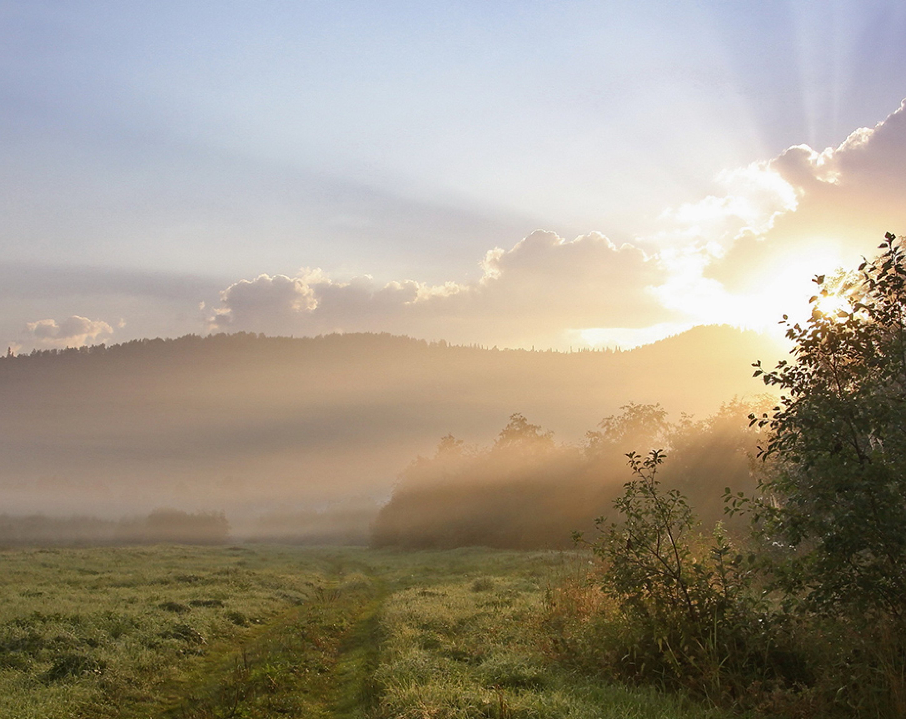 Freude als Währung, kubus media Freude als Währung, kubus media