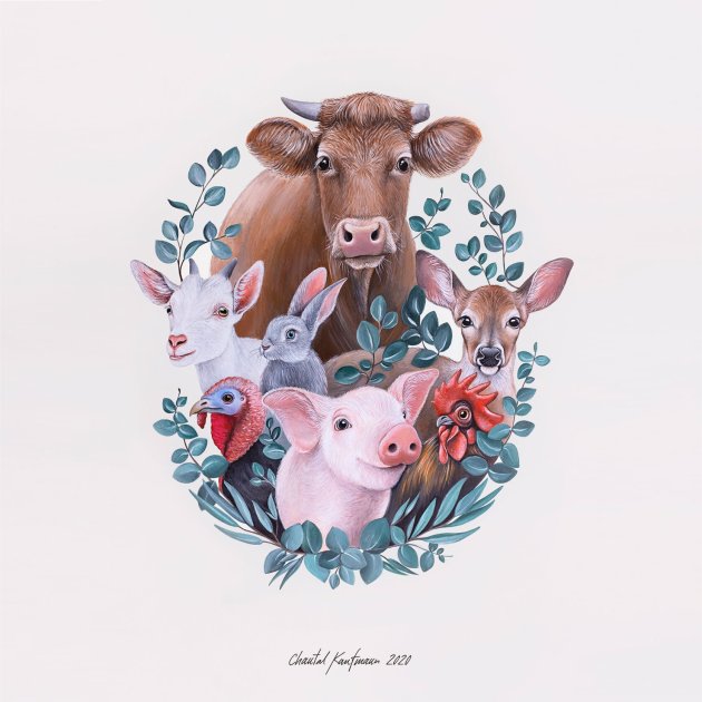 Liebevolle Tierbilder, Chantal Kaufmann Liebevolle Tierbilder, Chantal Kaufmann