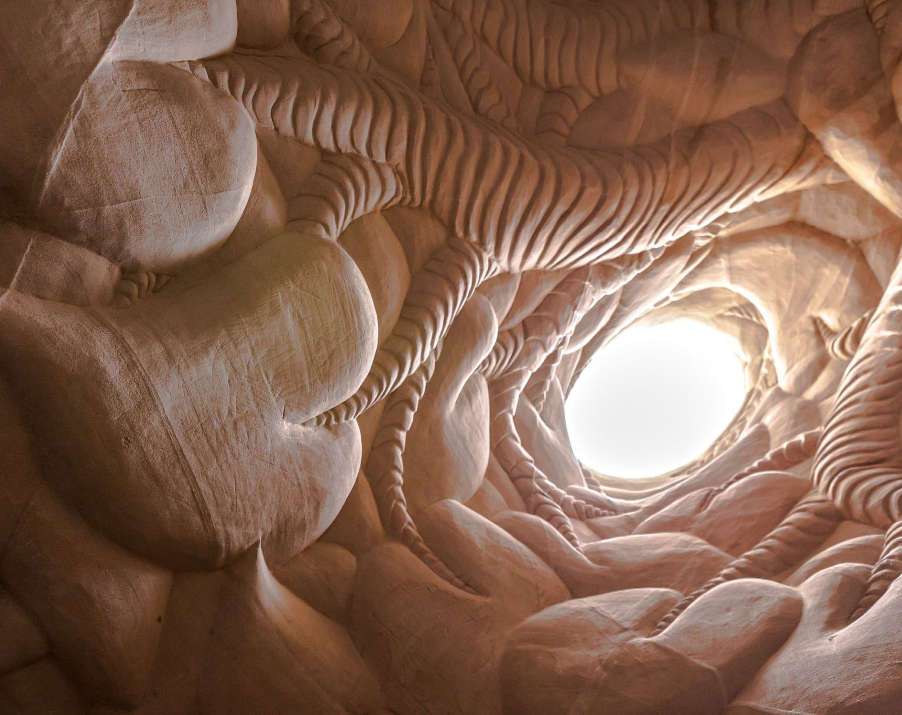 Höhlenbauer, Ra Paulette Höhlenbauer, Ra Paulette