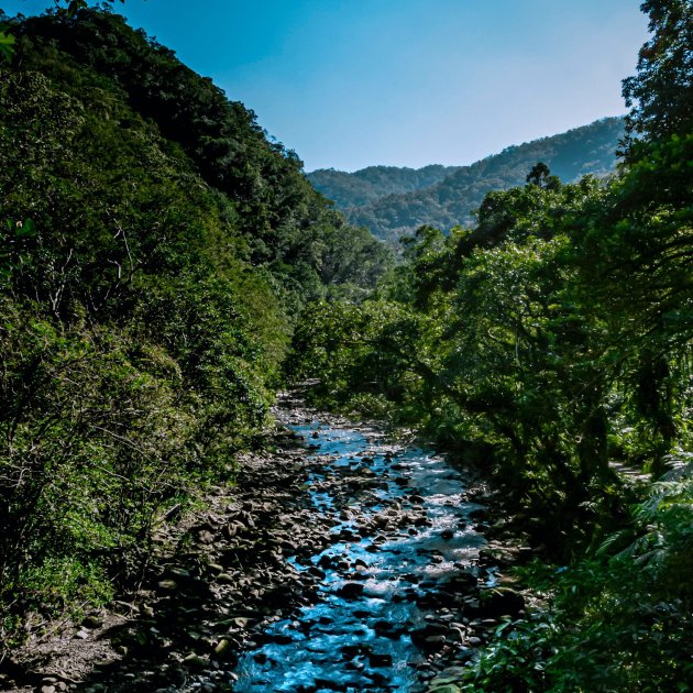 Selbständigkeit, Reflexion Selbständigkeit, Reflexion