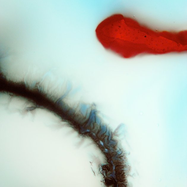 Penetrate (Remix), Stubborn Heart Penetrate (Remix), Stubborn Heart