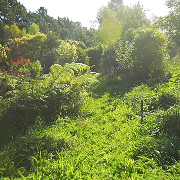 Living the Change, Happen Films Living the Change, Happen Films