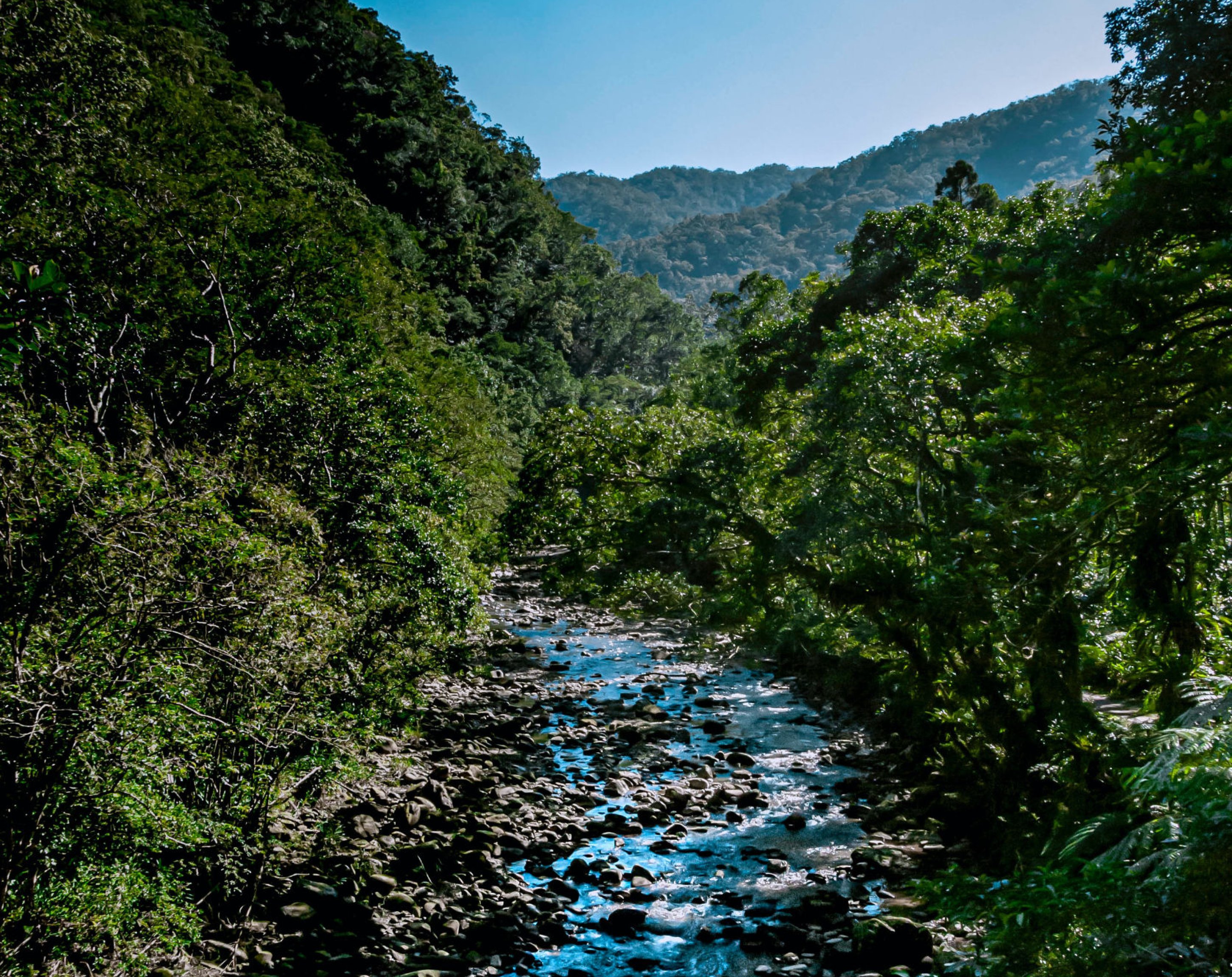 Selbständigkeit, Reflexion Selbständigkeit, Reflexion