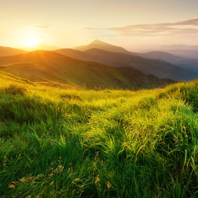 Raus aus dem Überwachungs-Kapitalismus, De-Googled Websites Raus aus dem Überwachungs-Kapitalismus, De-Googled Websites